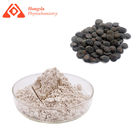 White Griffonia Seed Extract Powder 5 HTP 99% HPLC For Healthy