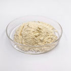 Food Cosmetics Grade Lyophilized Royal Jelly Powder 25kgs/Drum