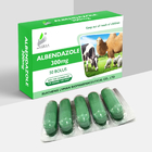 Oral Albendazole Bolus / Tablet Veterinary Drug GMP Manufacturer
